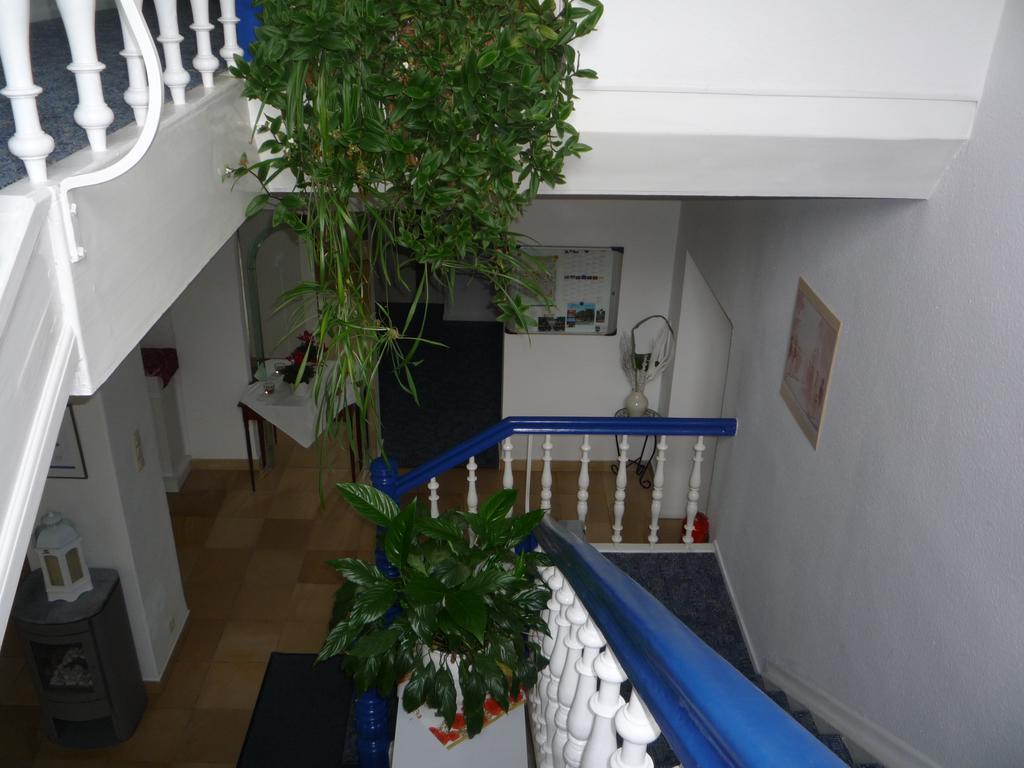 Hotel Carolinenhof باد بيرمونت المظهر الخارجي الصورة